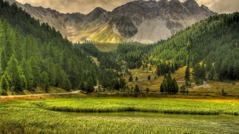 Best HD Nature Backgrounds - PixelsTalk