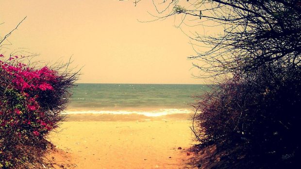 Beach Romantic Image.