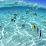 Beautiful Beautiful water wallpaper HD.