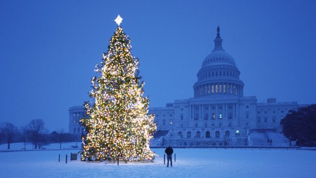 Beautiful Christmas Tree HD Wallpapers.