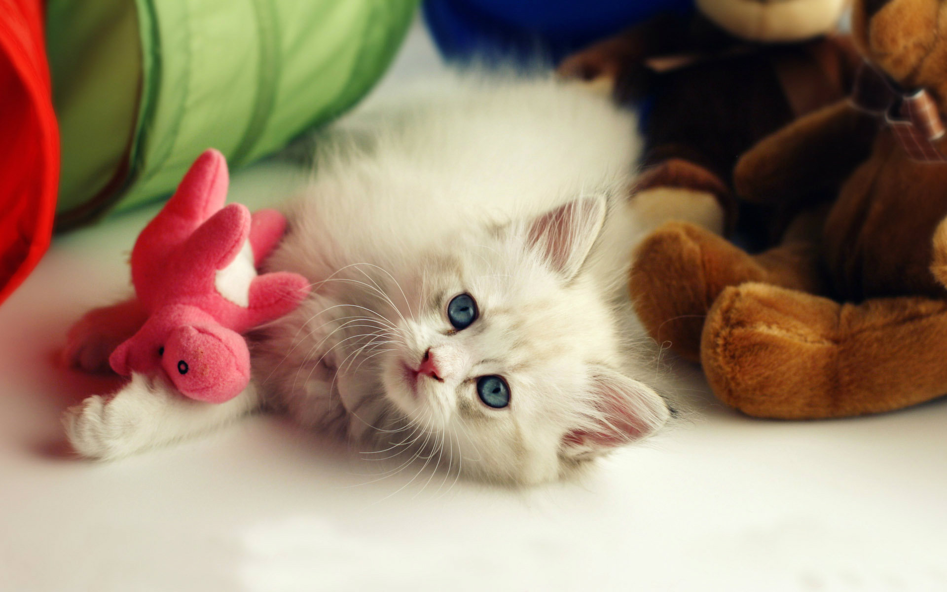 Cara Membuat Wallpaper Desktop Hd Cute - IMAGESEE