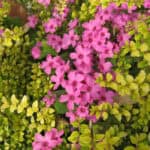 Beautiful Images Of Nature Free Download.