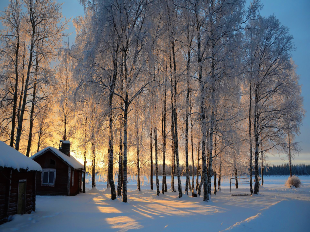 Beautiful Log Cabin Image.