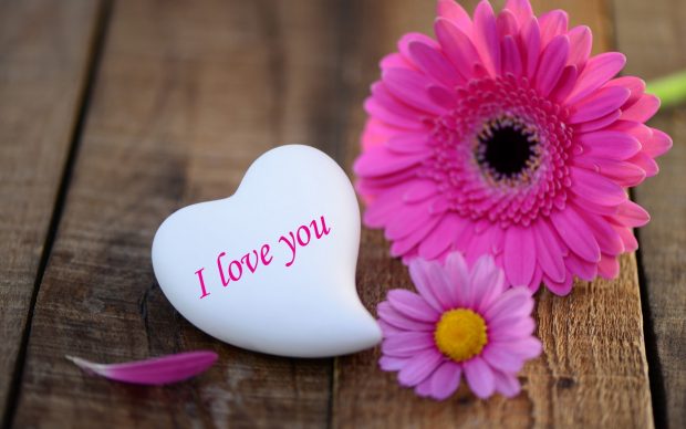 Beautiful Love Images For Desktop Free Download.