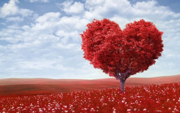 Beautiful Love Wallpapers For Desktop Computer Download.