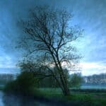 Beautiful Nature HD background trees.