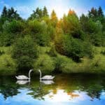 Beautiful Nature Photos HD download.
