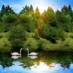 Beautiful Nature Photos HD download.