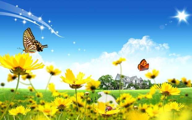 Beautiful Pictures Wallpapers Download.