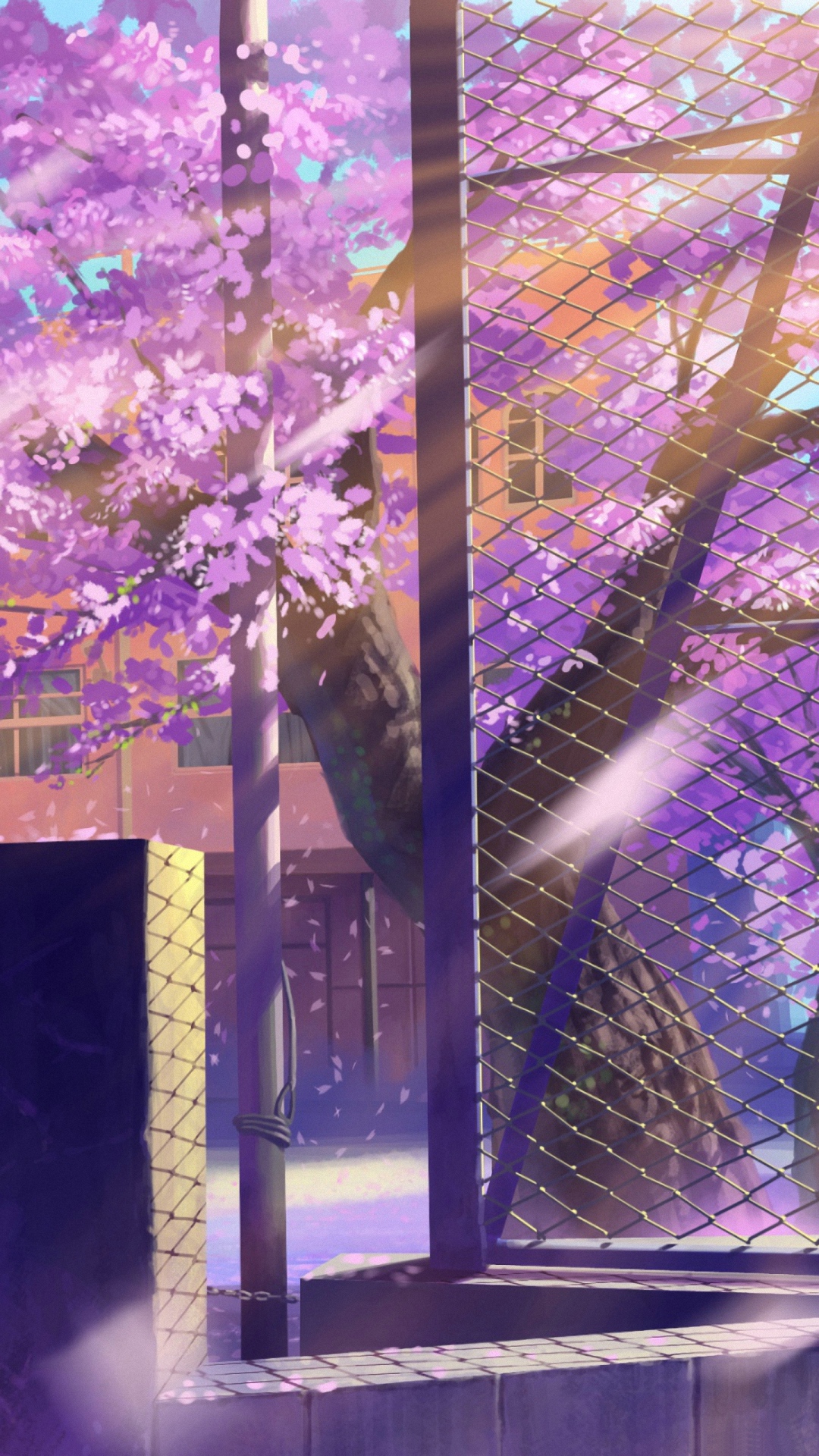 Sakura Blossom Anime Wallpaper