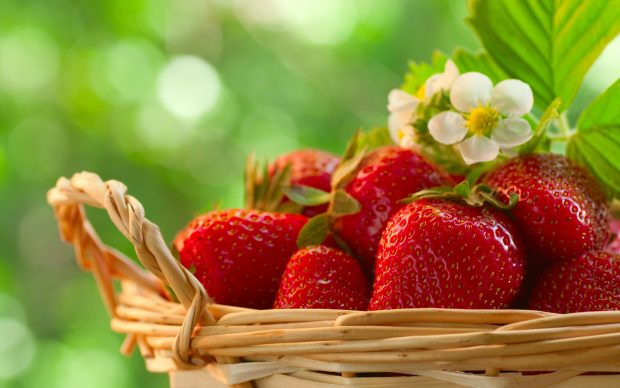 Beautiful strawberry pictures.