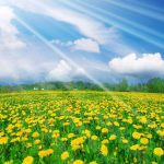 spring-desktop-wallpaper-widescreen-best-free-spring-wallpaper