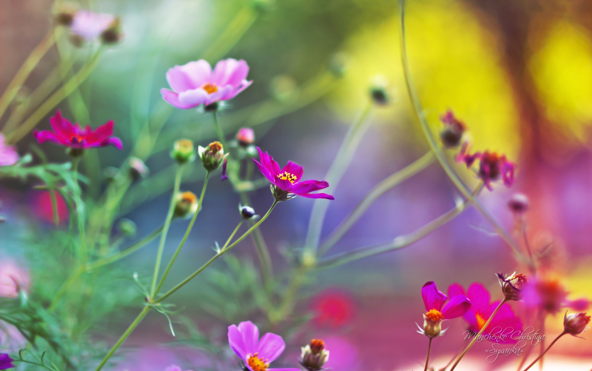 best wallpaper download best wallpaper download