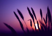 Best widescreen photos best hd.