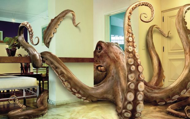Big Octopus Wallpaper Free Download.