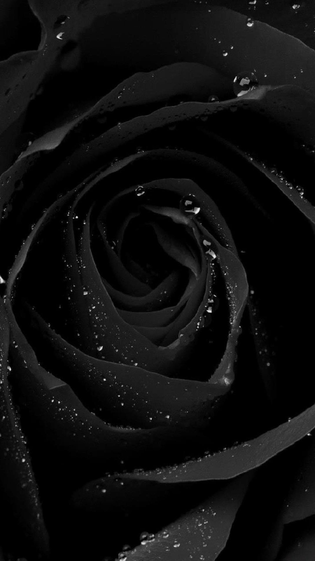 Black Wallpaper Iphone Pinterest Fondos De Pantalla Aesthetic 2022 ...