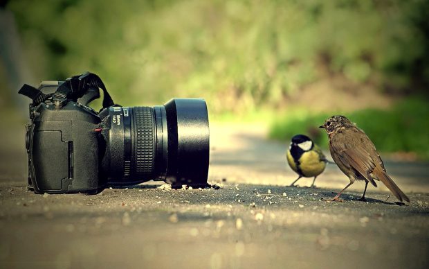 Camera Best Photography Images.