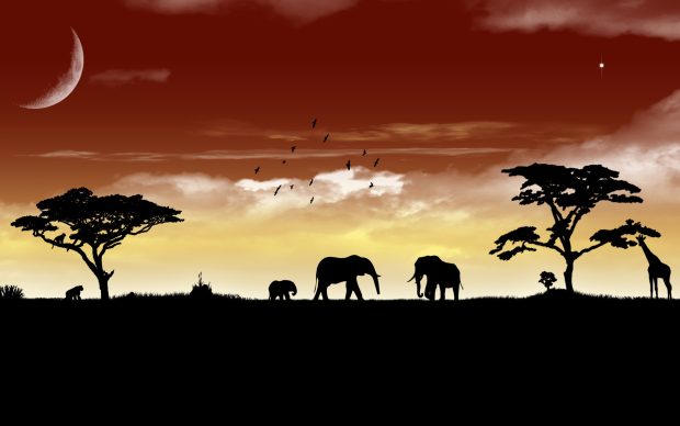 Cartoon elephants pics hd.