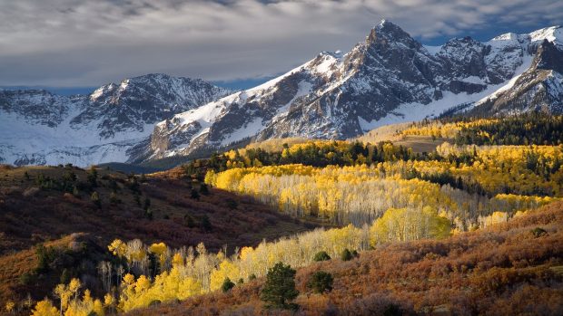 Colorado forests hills mountains nature snow backgrounds.