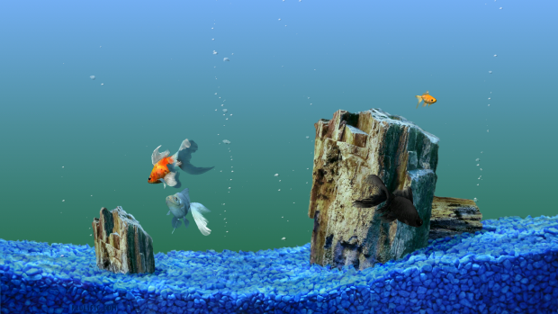 Cool Aquarium Background.