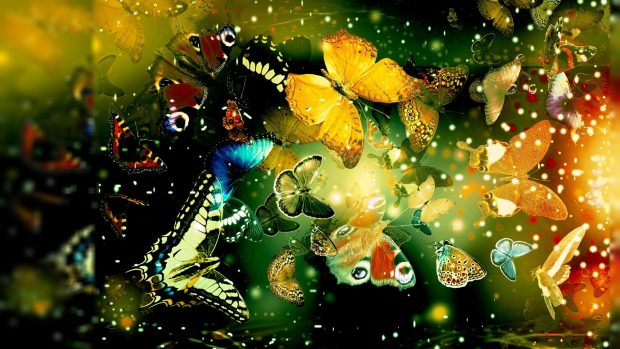 Cool butterfly designs backgrounds.
