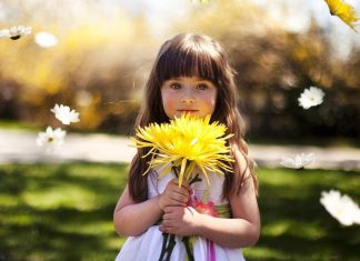 Cute Girl With Yellow Flower Best Wallpapers.