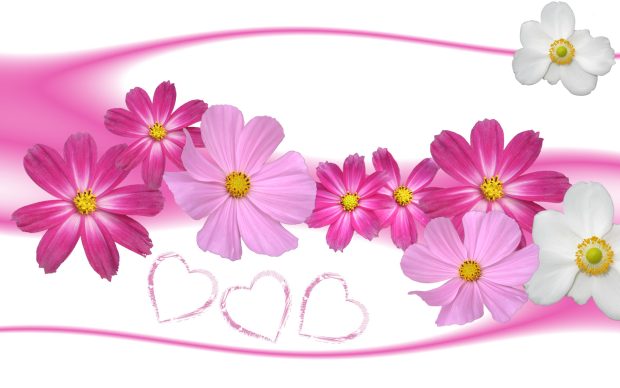 Download Free Pink Flowers Background.