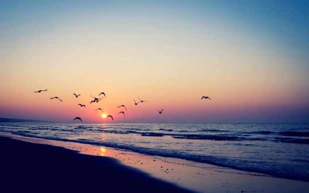 Download Free Sunset Beaches Background.