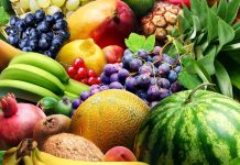 Download Fruit Background Free.