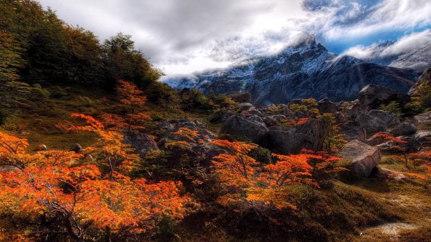 About 13km into the Andes Trek