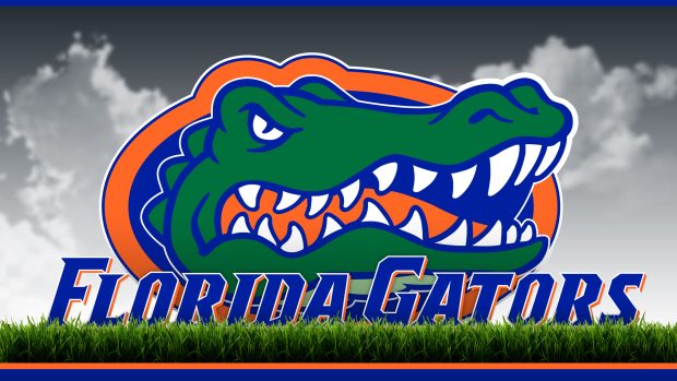 Florida Gators Images.