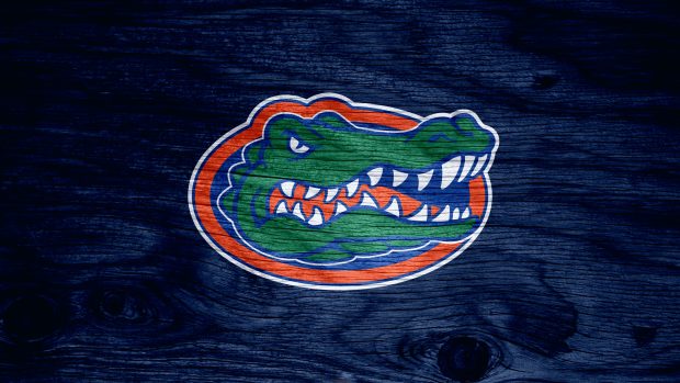 Florida Gators Photos.