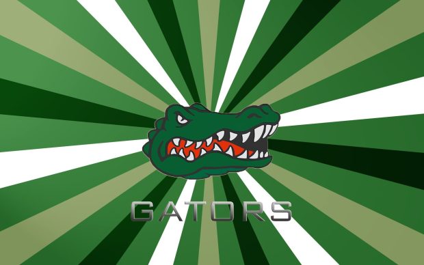 Florida Gators Pictures.