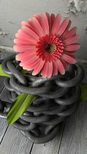 Flower Surrounded Iron Chain iPhone photos.