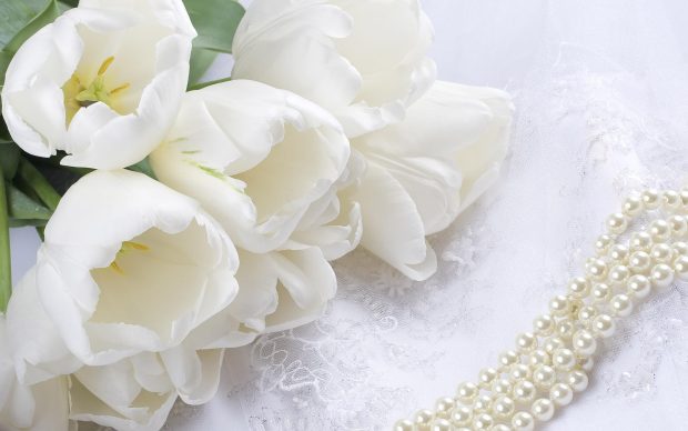 Flowers Tulips White Lace Beads Pearl Wallpaper.