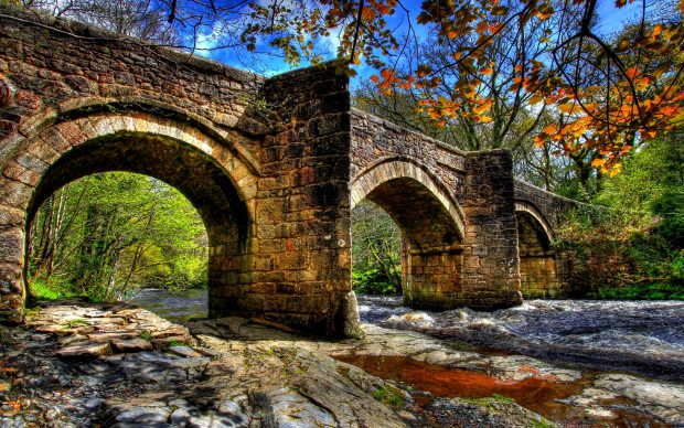 Forest bridge wallpaper hd.