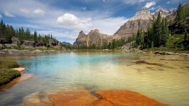 Opabin Terrace Pools , Yoho National Park, B.C.