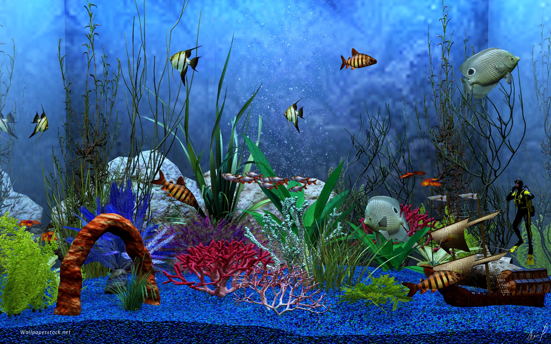 Aquarium Hd Wallpapers Pixelstalk Net