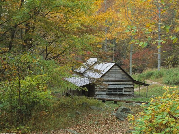 Free Download Log Cabin Wallpaper.