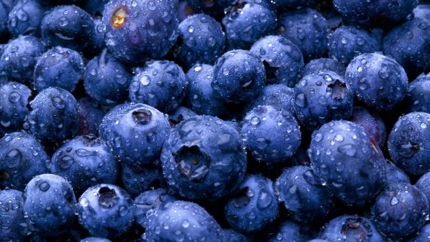 Free HD Photos food blueberry.