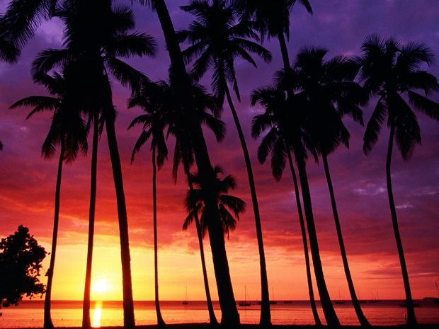 Free Sunset Beaches Background Download.