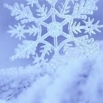 Free Winter Background for Iphone Download.