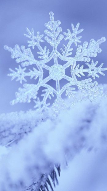 Free Winter Background for Iphone Download.