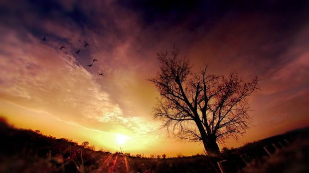 Free fisheye nature photography images hd cool download.