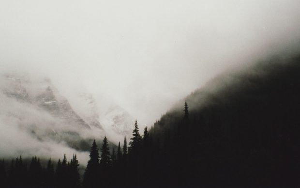 Gothic depressing photos fog trees white mountains landscapes.