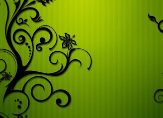 Green Border Wallpapers.