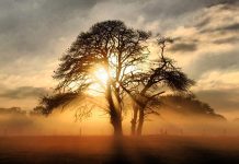 HD Free Dual Screen Backgrounds.