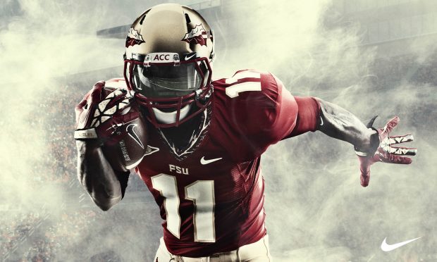 HD Images florida state football.