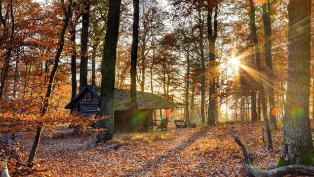 HD Log Cabin Wallpaper.