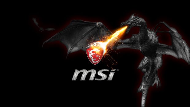 HD Msi Image.